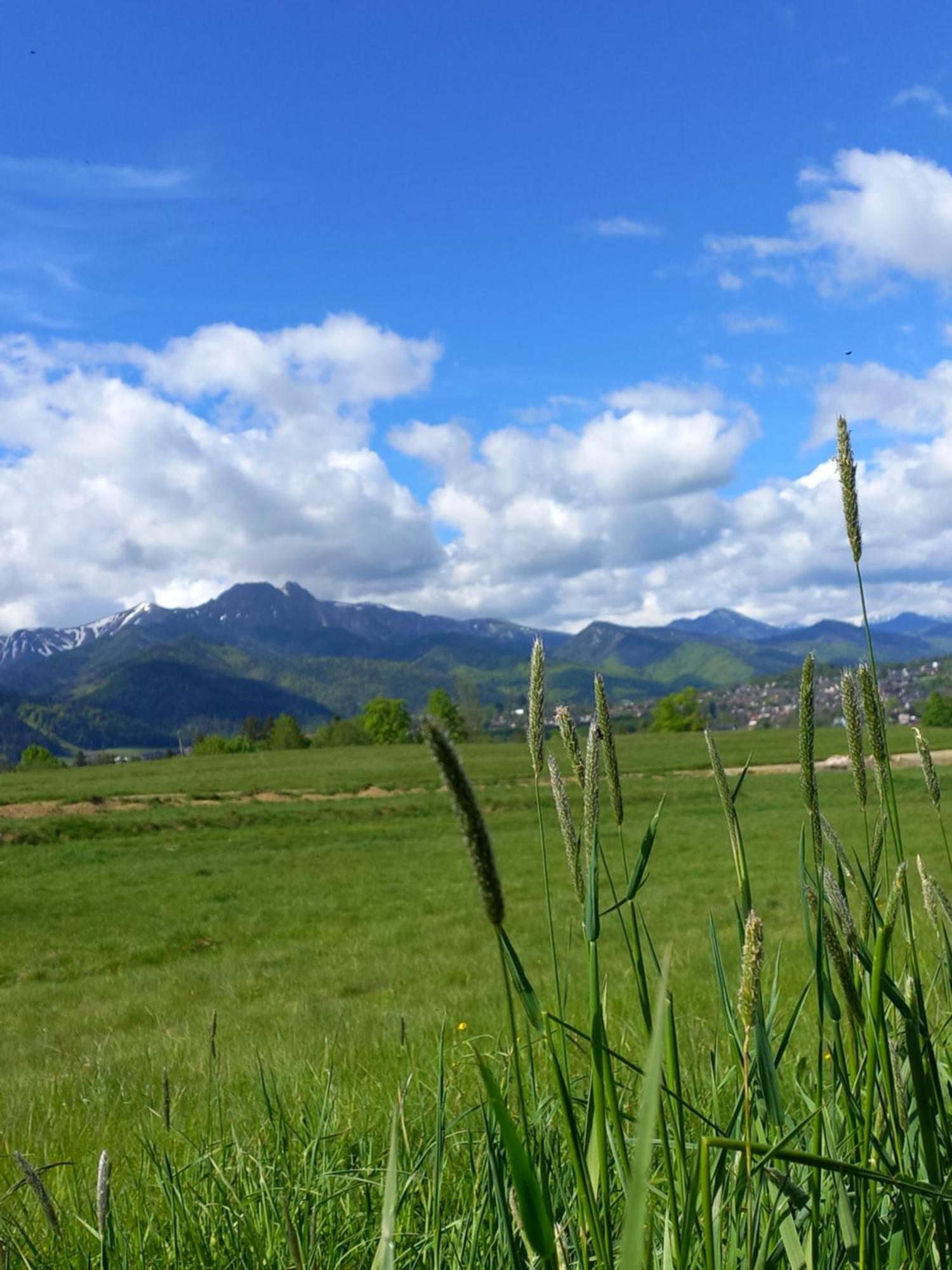 Domki Na Gawlakach Zakopane Pokój zdjęcie